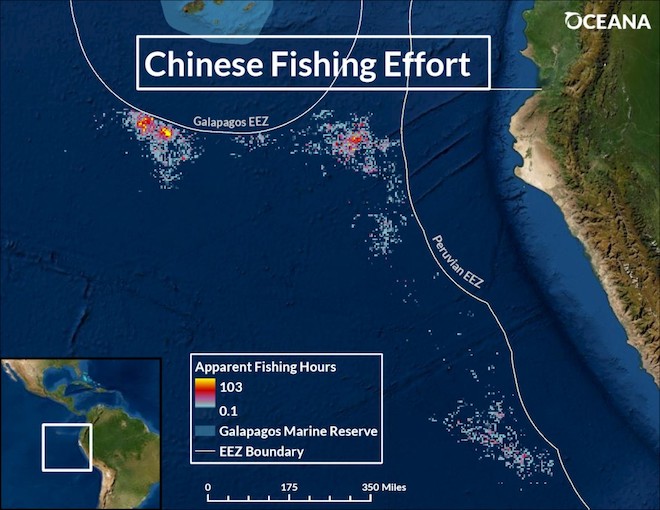 Oceana analiza la ruta de flota pesquera china que depredó Galápagos y advierte que se dirige a Chile