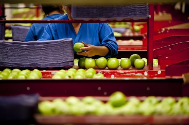 Ministerio de Agricultura de Chile crea comisión para prevenir pérdida de alimentos mediante innovación empresarial