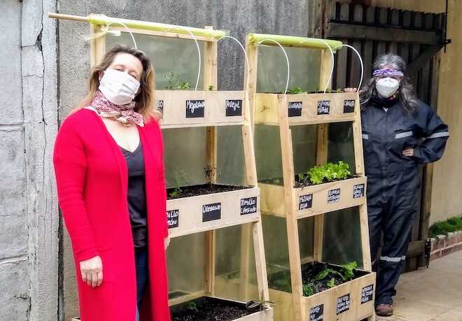 Huertos verticales de hortalizas: la exitosa apuesta comercial de cooperativa de agricultoras de Osorno 