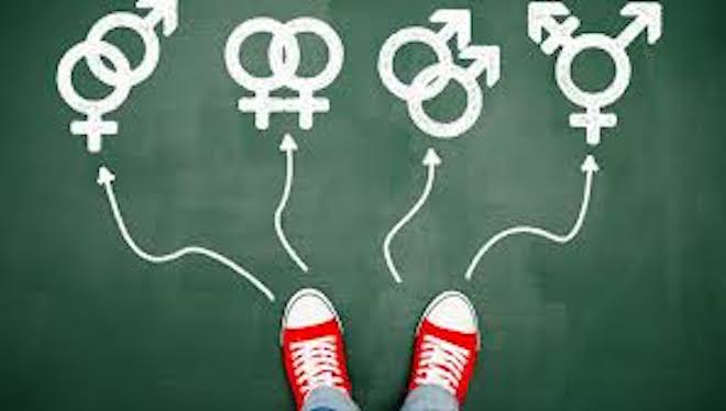 A un año de la Ley de Identidad de Género, 131 personas en Biobío han cambiado su nombre y sexo registral