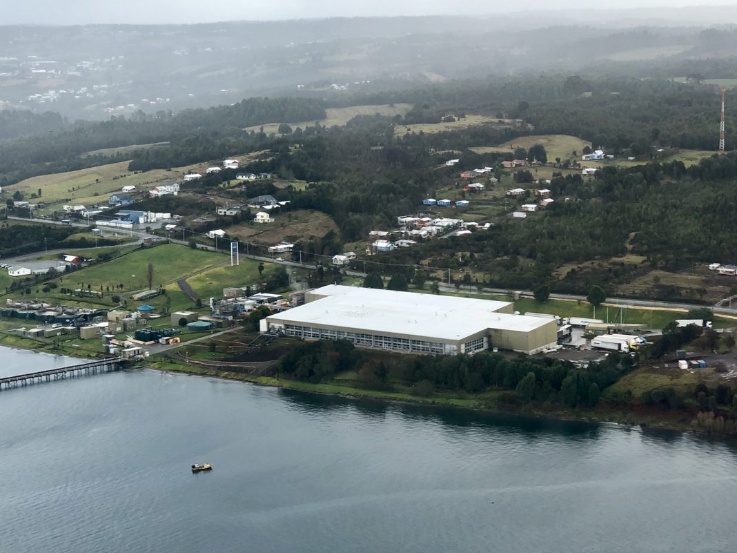 Pequeños agricultores de Quellón venderán hortalizas a casinos de plantas salmoneras