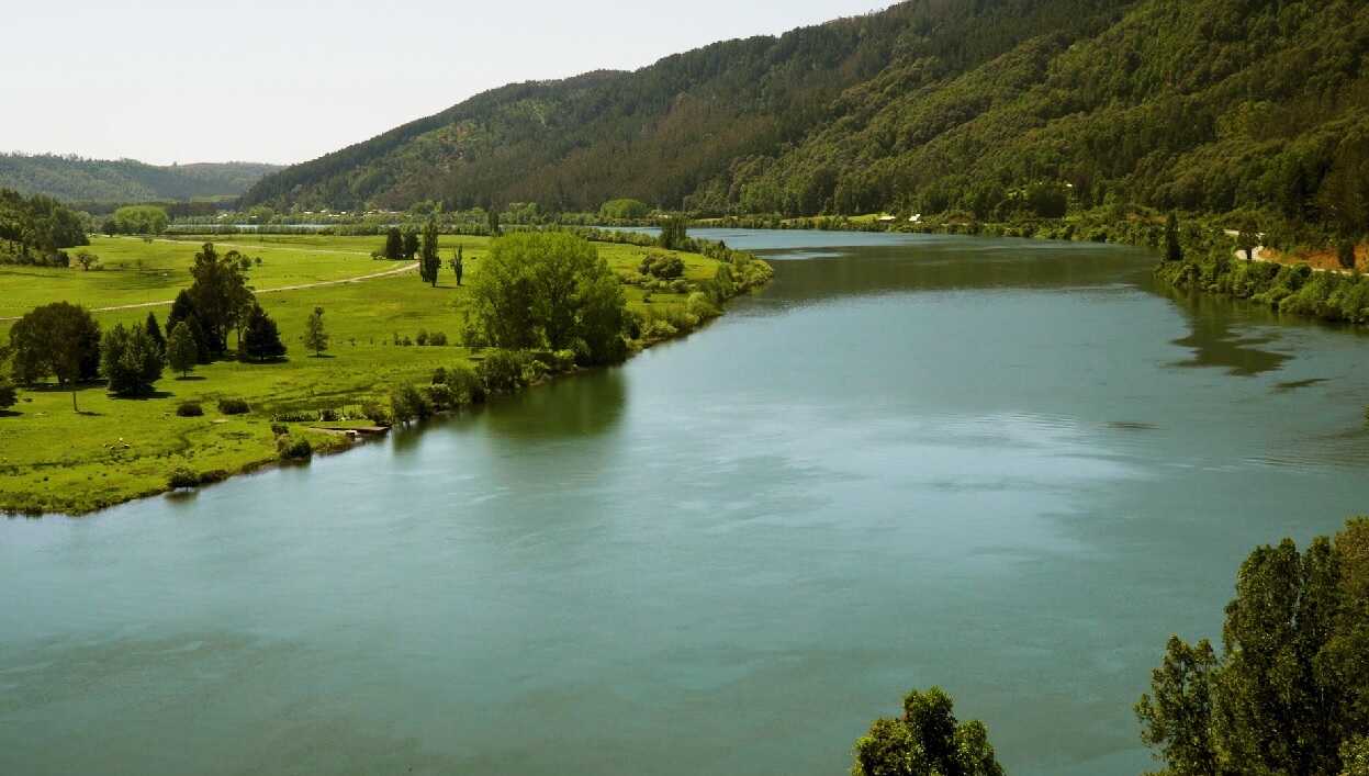 Ministerio del Medio Ambiente rechaza invalidación en contra de las Normas Secundarias de Calidad Ambiental del río Valdivia