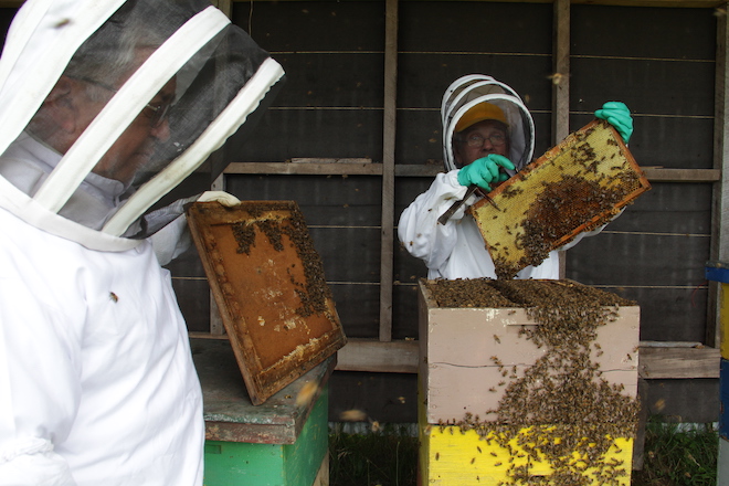 En Cochamó buscan mecanismos para la producción armónica en el rubro apícola