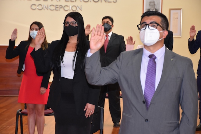 Corte de Apelaciones de Concepción recibió juramento de nuevos abogados