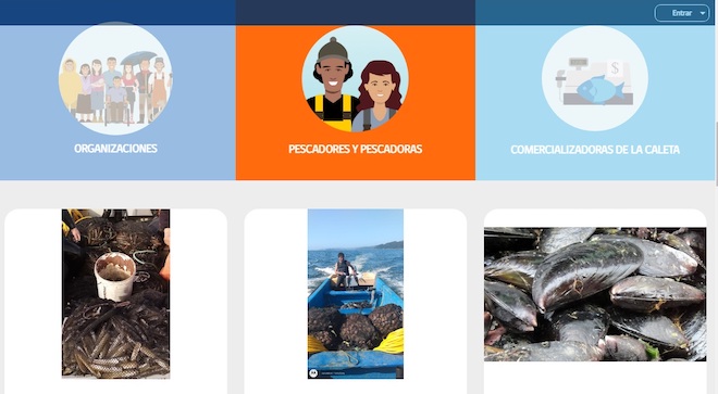 Sernapesca Biobío invita a pescadores y pescadoras a promocionar sus recursos en nuevo portal web Caleta en Línea.cl