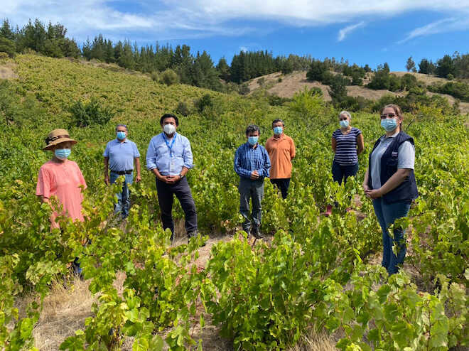 Autoridades del Agro valoraron el trabajo realizado por la agricultura familiar campesina de San Rosendo a un año del inicio de la pandemia