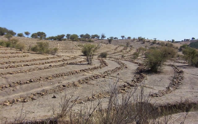 Indap Biobío llama a productores a postular a concurso para mejorar suelos agrícolas 