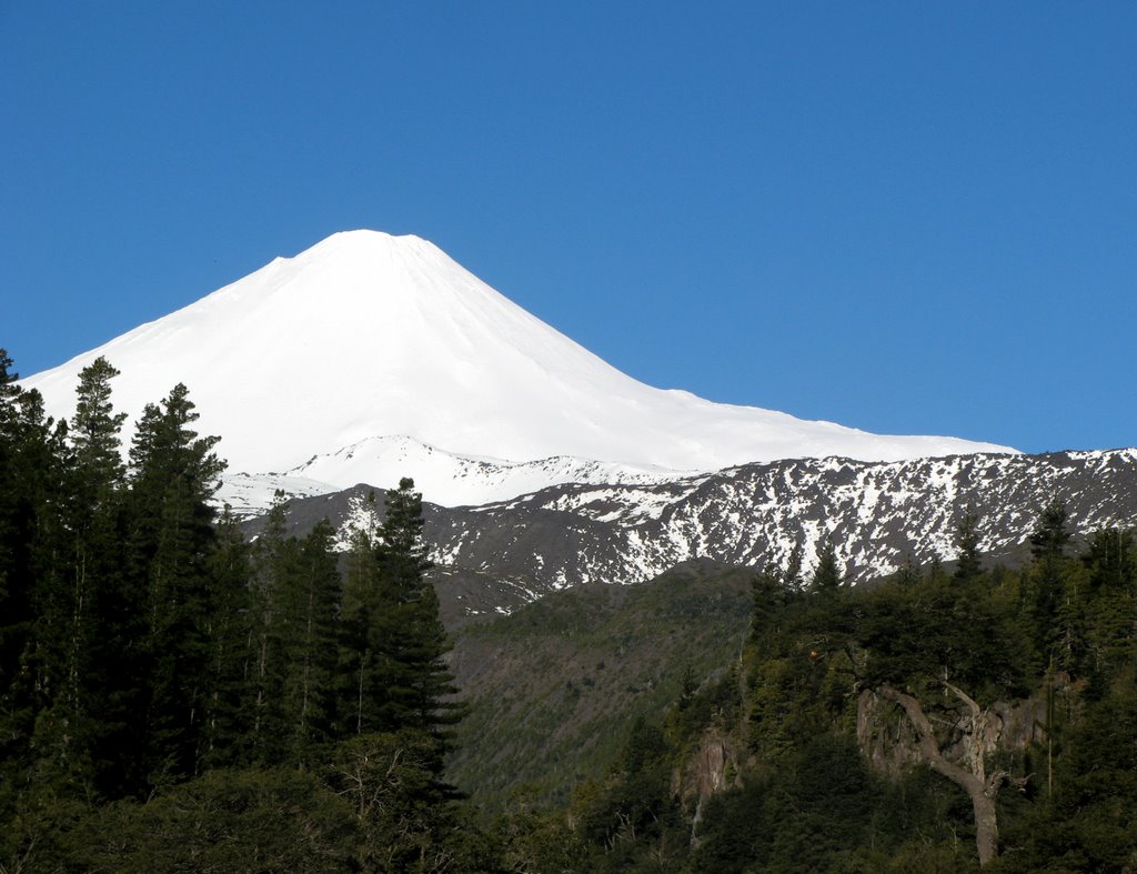 Investigadores latinoamericanos se capacitan en uso de plataforma de monitoreo satelital de volcanes creada por científicos chilenos