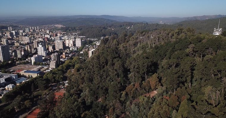 Cerro Caracol ya cuenta con página web como parte de su plan maestro