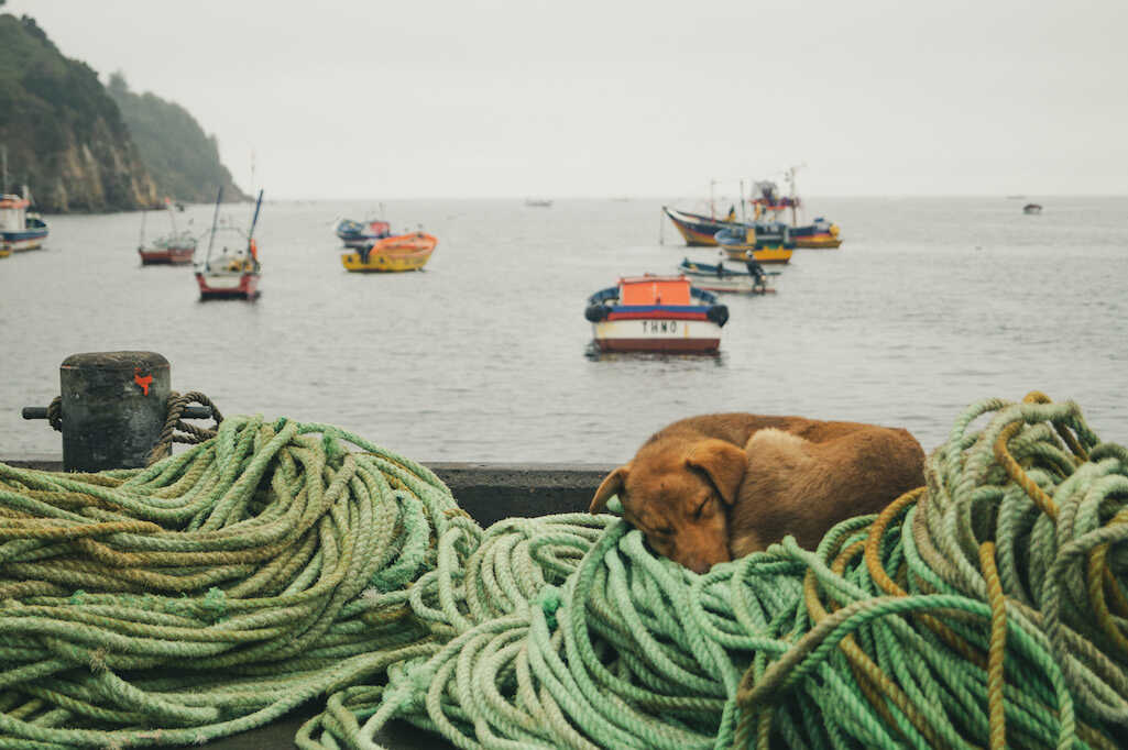 Biobío, Chile: después, siempre, el mar