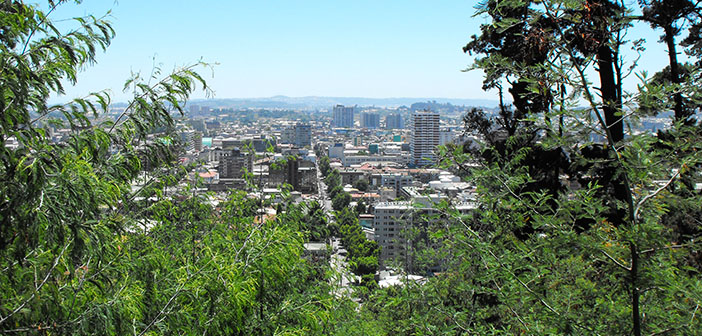 Investigadores UdeC estudian impacto del cambio del paisaje en la biodiversidad de Chile