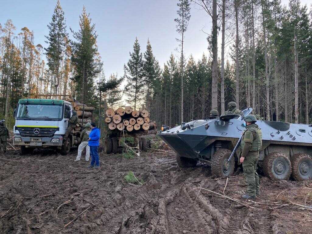 Carabineros incauta 2 camiones y detiene a 3 personas por robo de madera en predio forestal del sector Quelén Quelén en Cañete