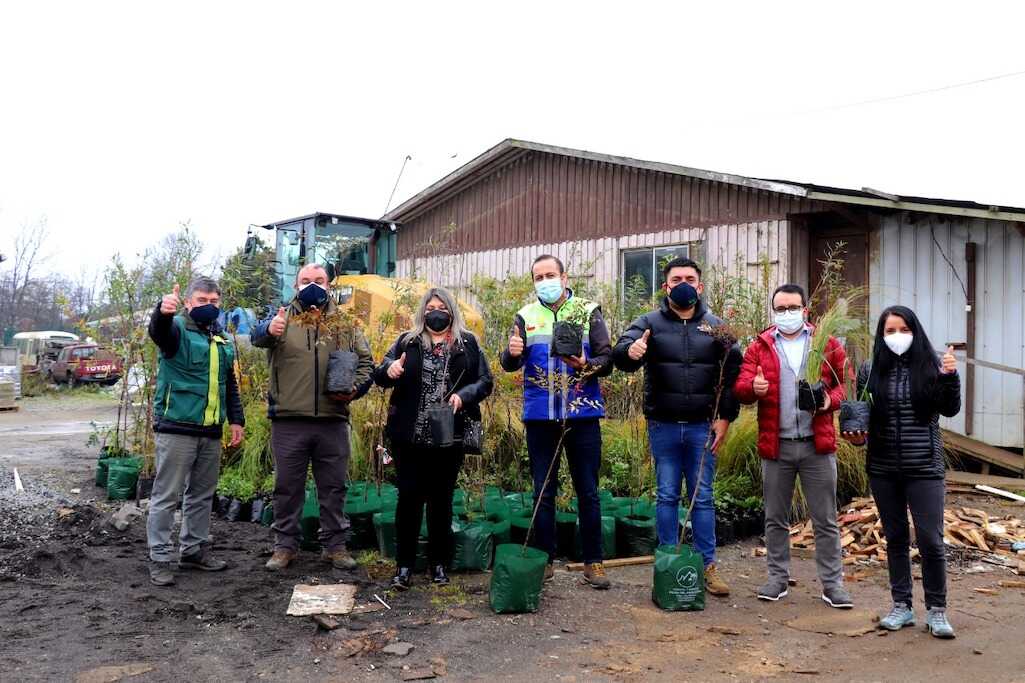 Conaf inició proyecto comunitario de arborización en Los Álamos junto a comunidad y municipio