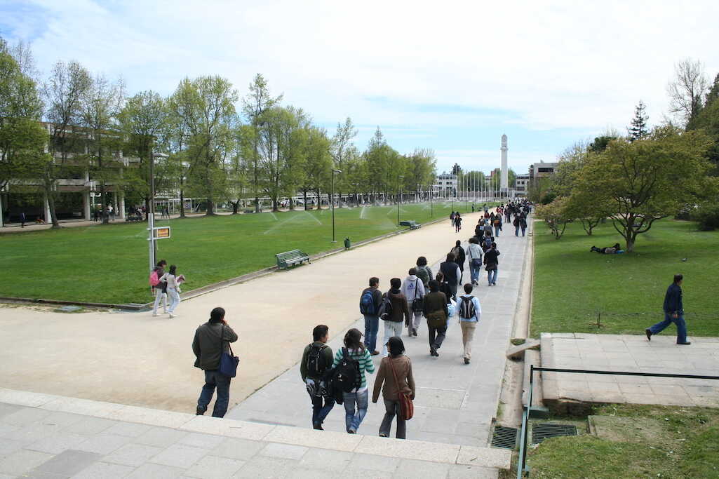 Proyecto UdeC prepara elaboración de Política de Inclusión Universitaria