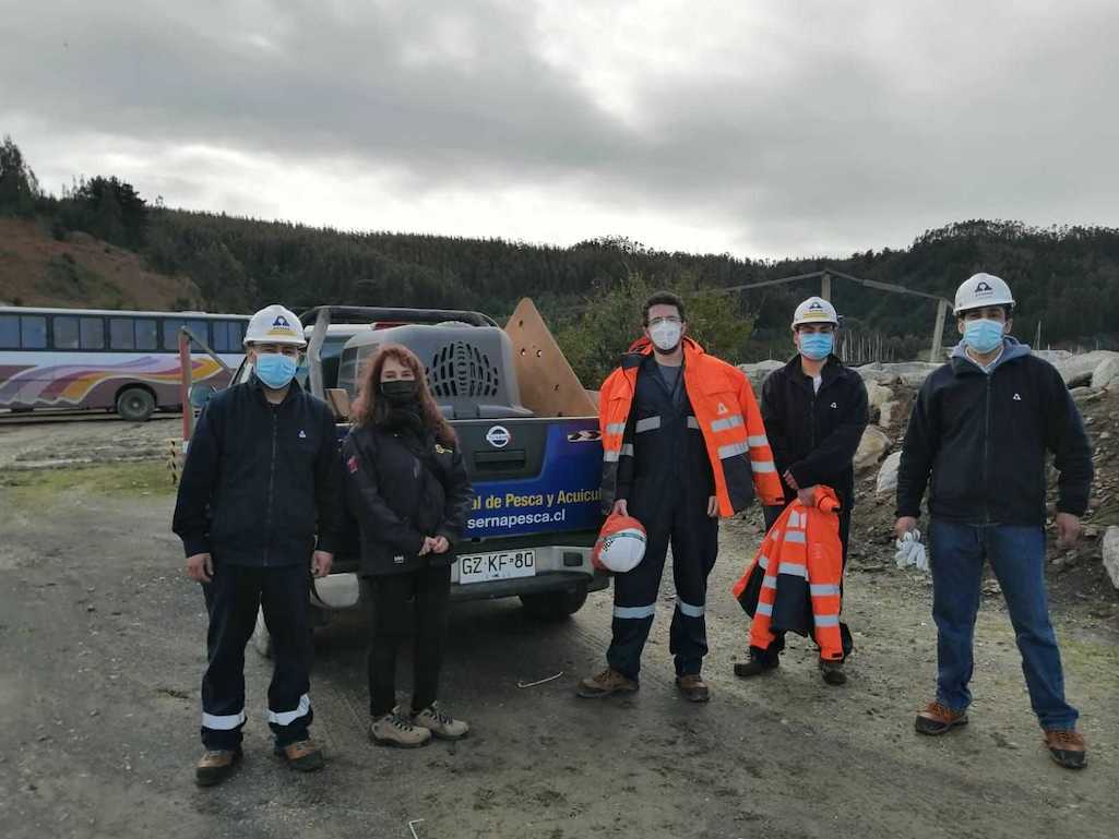 Rescate de lobo marino originario de la Isla de Juan Fernández en Asmar Talcahuano