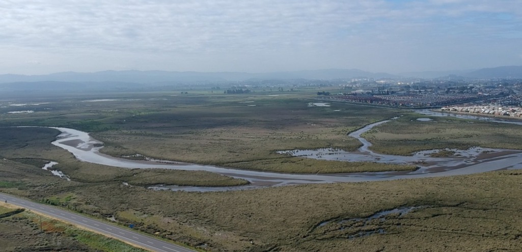 Talcahuano lidera mesa de trabajo para ser top ten en certificación ambiental