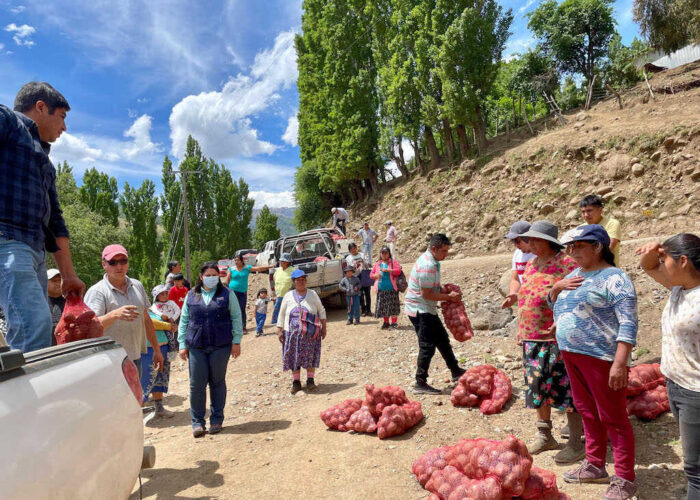 Cooperativa mapuche de Tirúa dona 6.500 kilos de papas a comunidad pehuenche de Alto Biobío