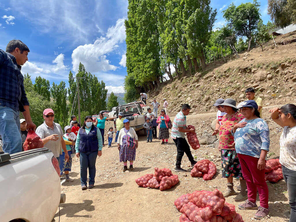Cooperativa mapuche de Tirúa dona 6.500 kilos de papas a comunidad pehuenche de Alto Biobío