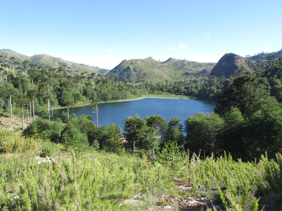 Municipio de Quilaco destaca aprobación de Ordenanza de Medio Ambiente