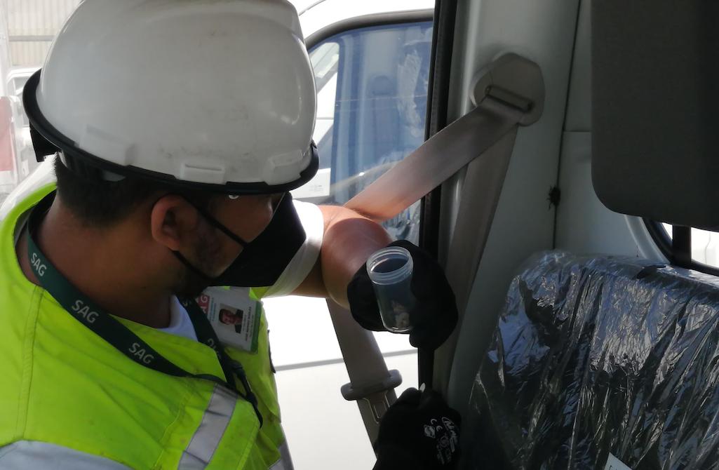 SAG Biobío intercepta plagas silvoagrícolas en embarques de vehículos provenientes de Asia