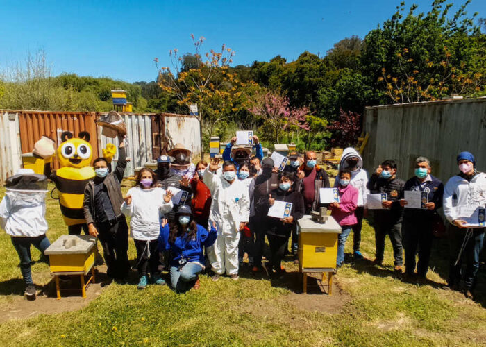 Con exitoso programa municipio penquista fomenta apicultura urbana