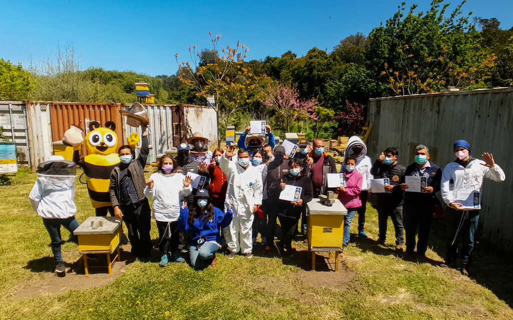 Con exitoso programa municipio penquista fomenta apicultura urbana