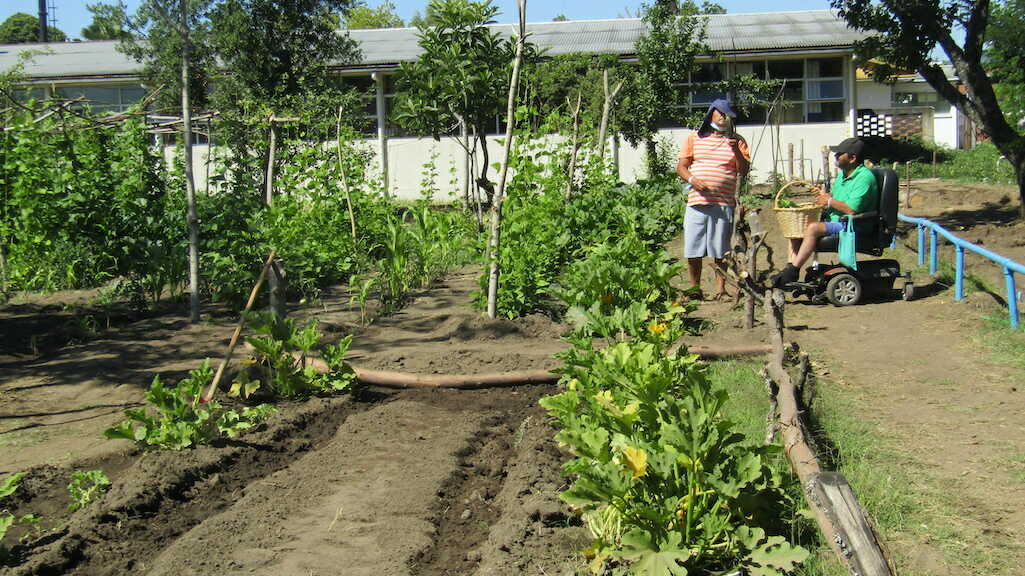 Hospital de Santa Juana cuenta con huerta orgánica cultivada por pacientes sociosanitarios