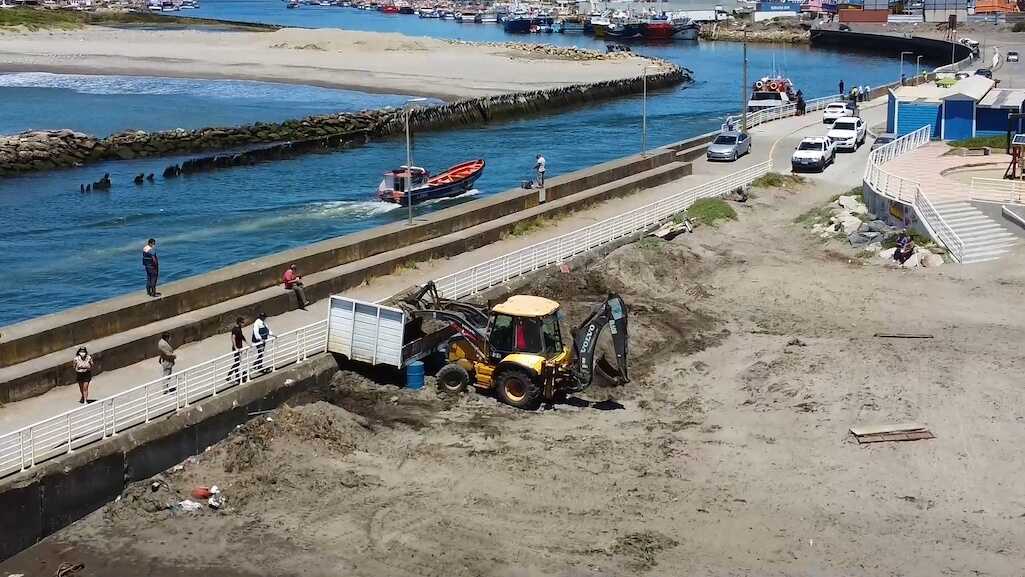 Crean sistema de recuperación de algas y arena en playa Boca Lebu