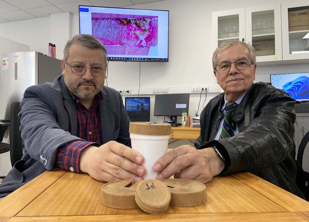 Primer plástico biodegradable para envasar alimentos patentan investigadores en Chile