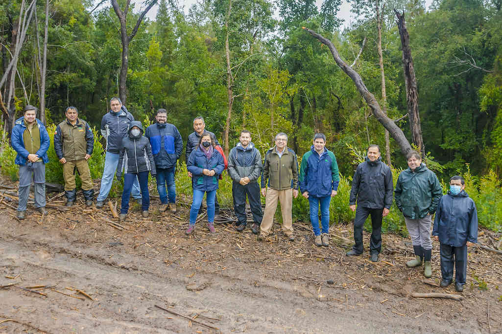 Corredor biológico conectará bosques nativos del Parque Nacional Nonguén