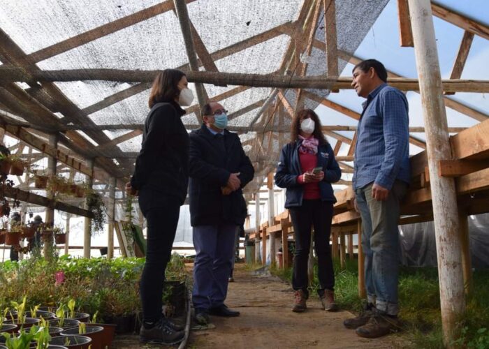 Seremi Yáñez explicó programa Siembra por Chile a pequeños agricultores de Hualqui  