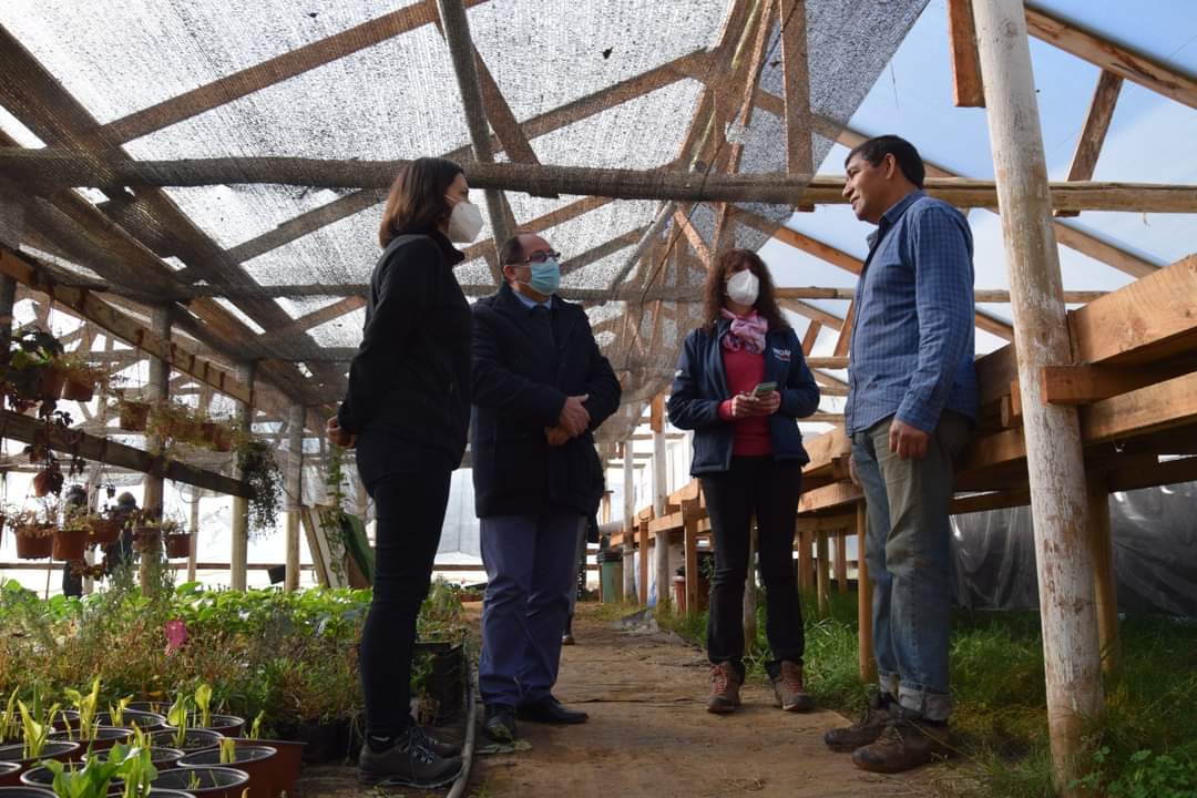 Seremi Yáñez explicó programa Siembra por Chile a pequeños agricultores de Hualqui  