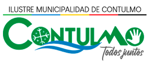 Verano Contulmo 2023