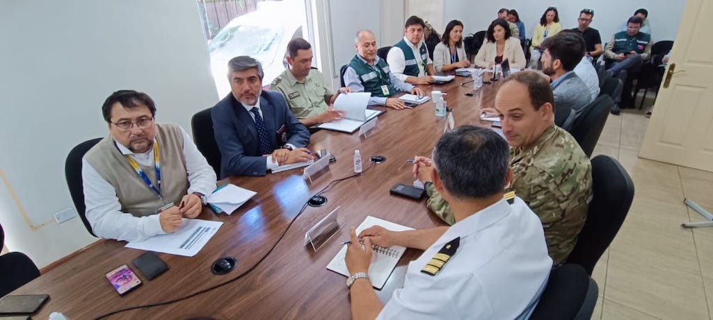 Ante eventual ingreso de influenza aviar a la Región del Biobío autoridades conforman mesa técnica 