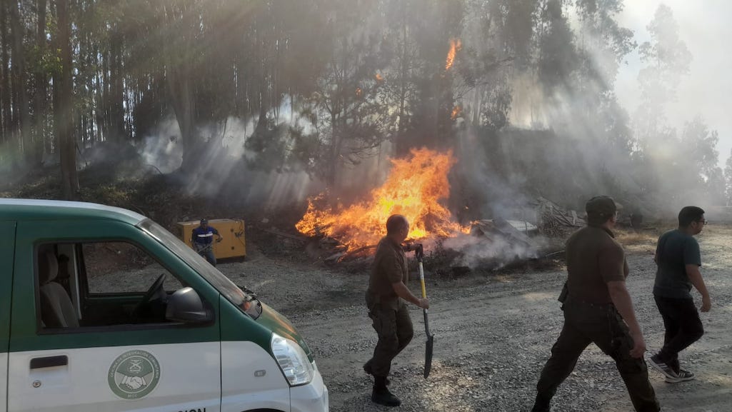 Máximo contingente para enfrentar incendios forestales despliega Carabineros de la Octava Zona 
