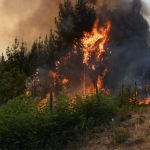 Frontel anuncia plan de ayuda para afectados por incendios forestales