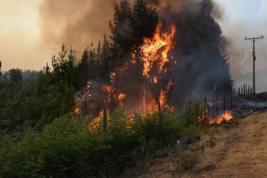 Frontel anuncia plan de ayuda para afectados por incendios forestales