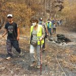 Ministra de Medio Ambiente constató en terreno daño causado por incendios en Tomé