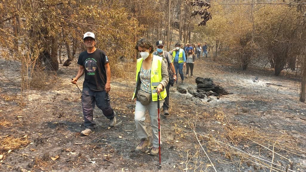 Ministra de Medio Ambiente constató en terreno daño causado por incendios en Tomé