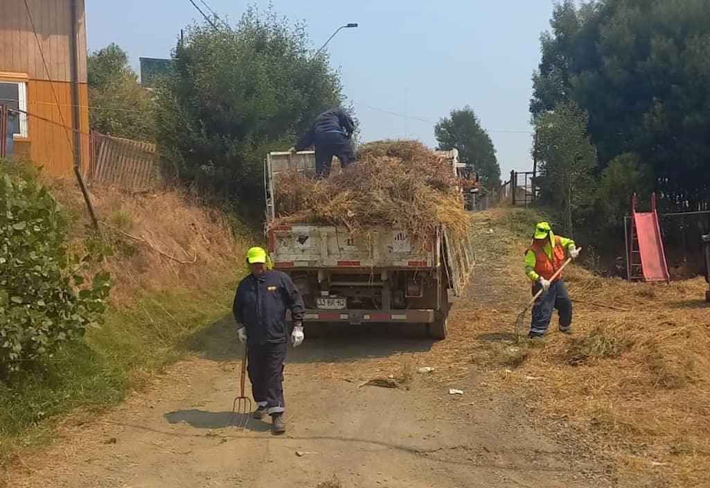 Municipio penquista refuerza acciones preventivas ante incendios forestales en la zona