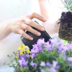 taller-plantas
