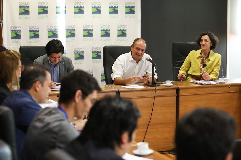 Gobernador del Biobío se reúne con delegación de la ONU por emergencia de incendios forestales