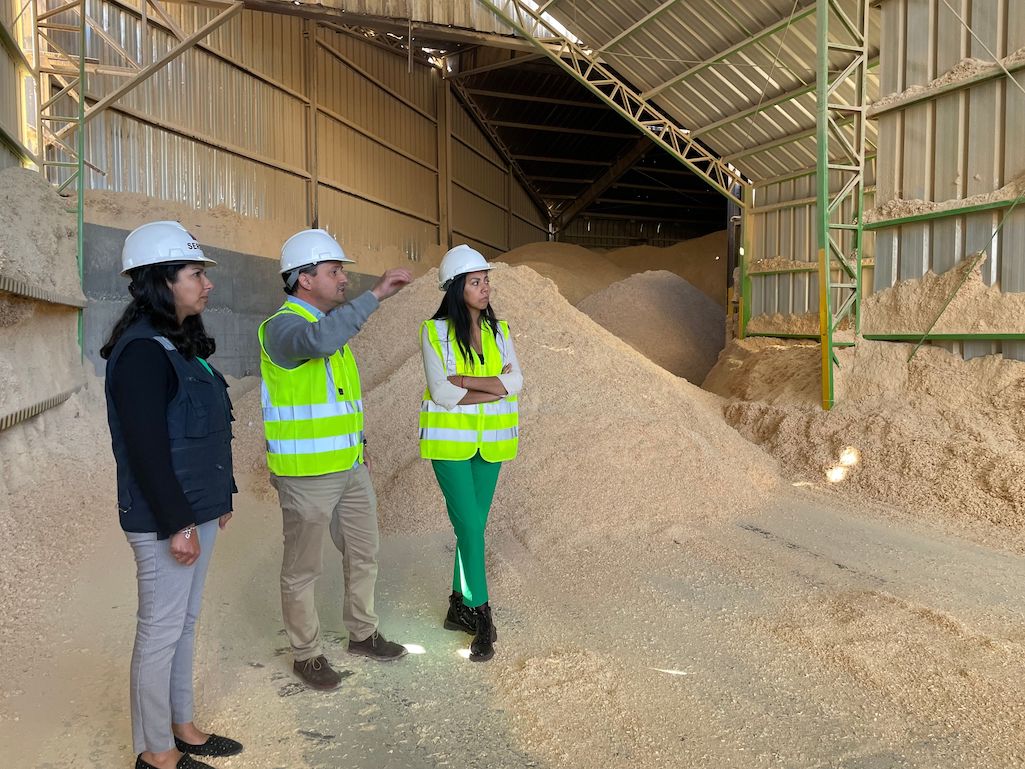 Autoridades monitorean producción y distribución de pellet en la Provincia de Biobío