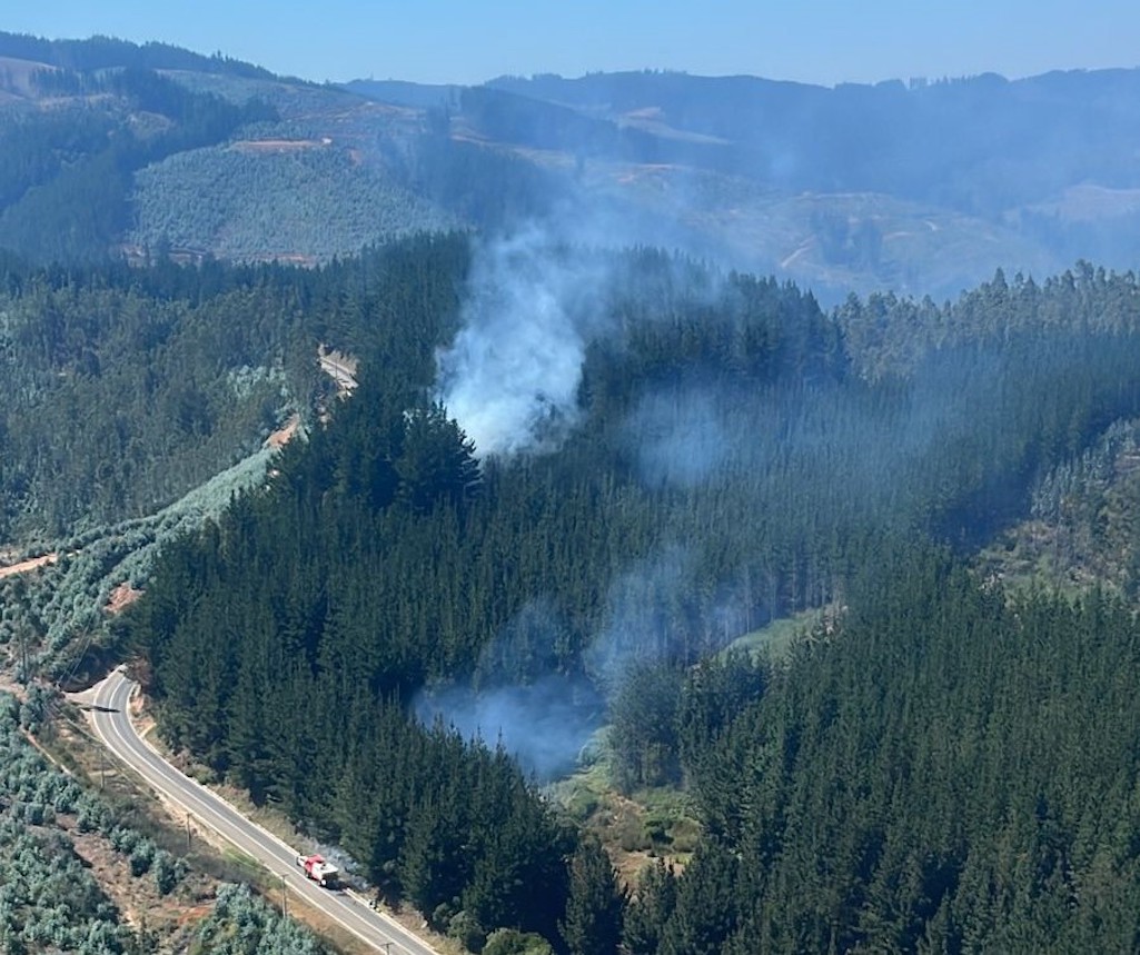 Corma llama a renovar Estado de Catástrofe en zonas afectadas por incendios forestales
