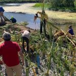 Construyen primer humedal artificial en Chile para limpiar la laguna Lo Custodio en Biobío