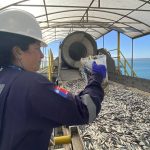temporada-pesca