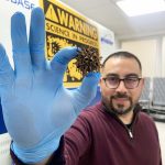 Crean el primer asfalto autorreparable del mundo usando esporas provenientes de las plantas