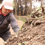 Capacitación en compostaje solicitada por comunidad ofrecerá municipio de Talcahuano