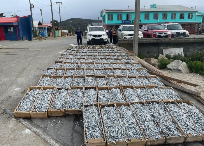 Agresiones y obstaculización a fiscalización en caleta Llico denunciará Sernapesca 