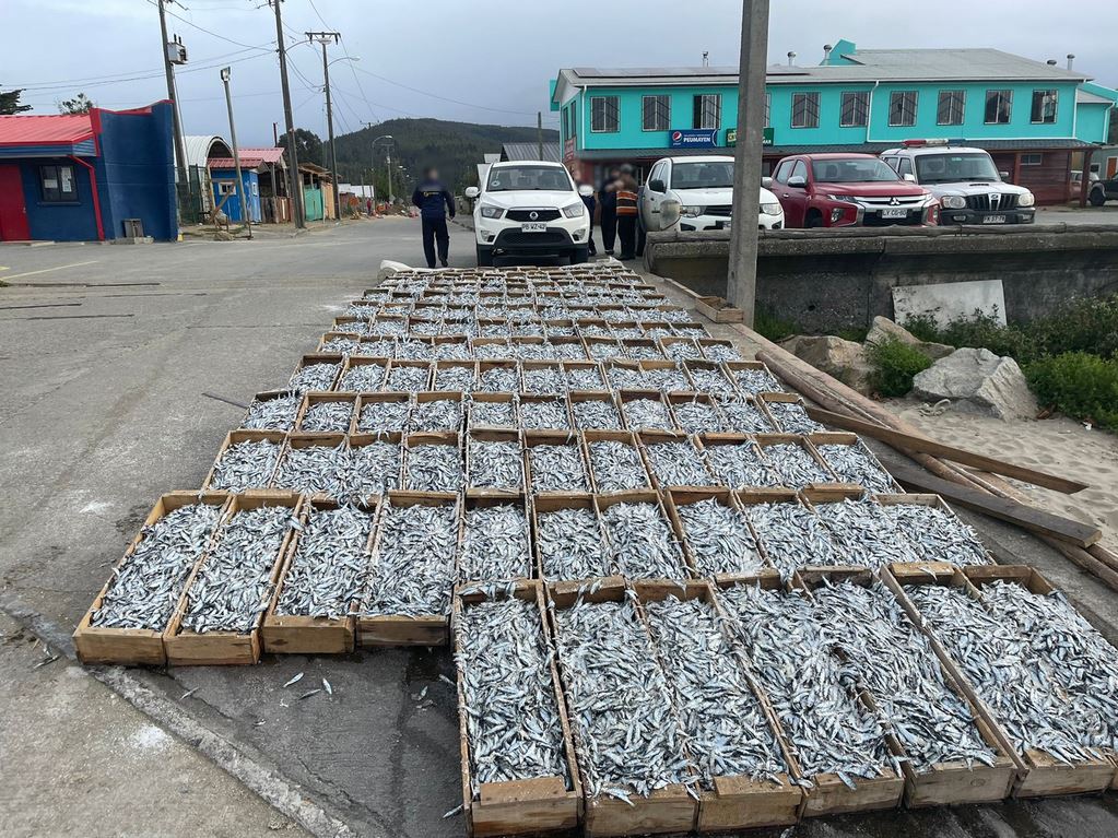 Agresiones y obstaculización a fiscalización en caleta Llico denunciará Sernapesca 